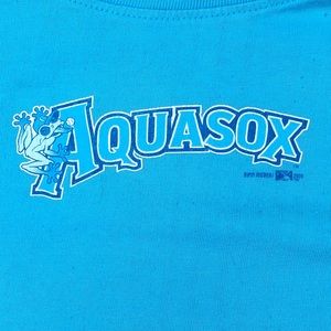 MiLB Everett Aquasox Northwest League Vintage’00’s teal T